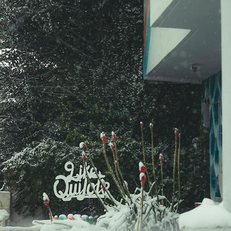 Hostel Like Quijote Bariloche Buitenkant foto